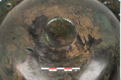 Foto von Bronzebreitrandschale (NHMW-PRAE-025246)